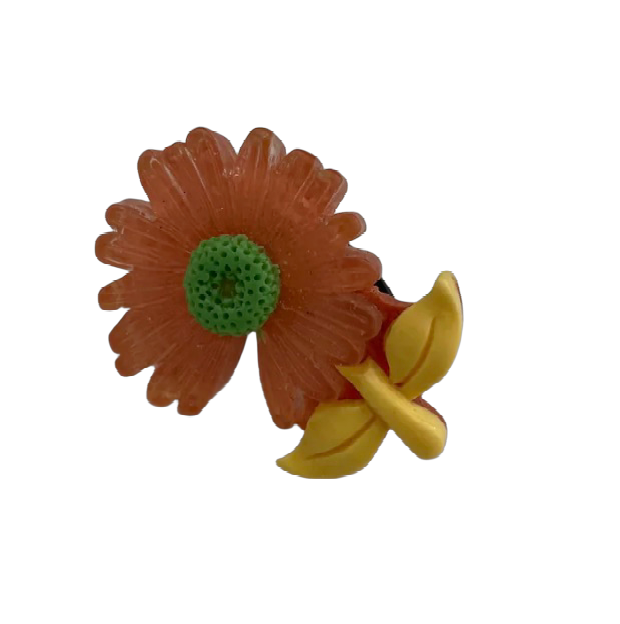 shoe accessory flower clips