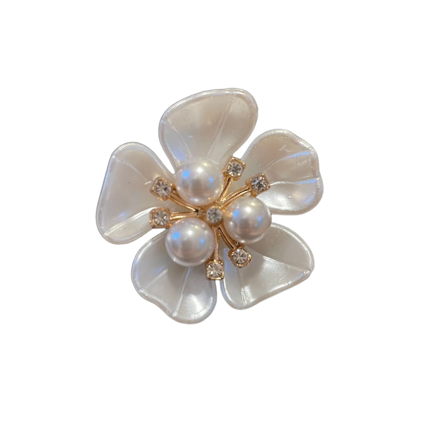 shoe accessory flower clips