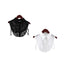 Lace Collar Black Off White