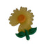 shoe accessory flower clips