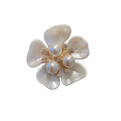shoe accessory flower clips
